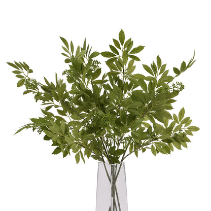 Long Fennel Stem - GREEN