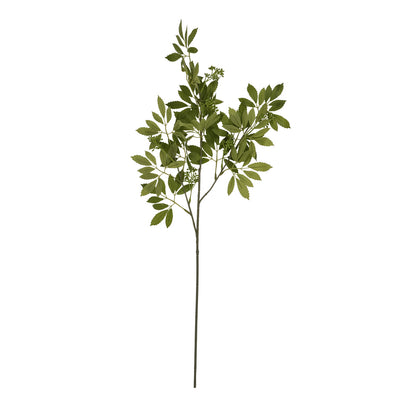 Long Fennel Stem - GREEN