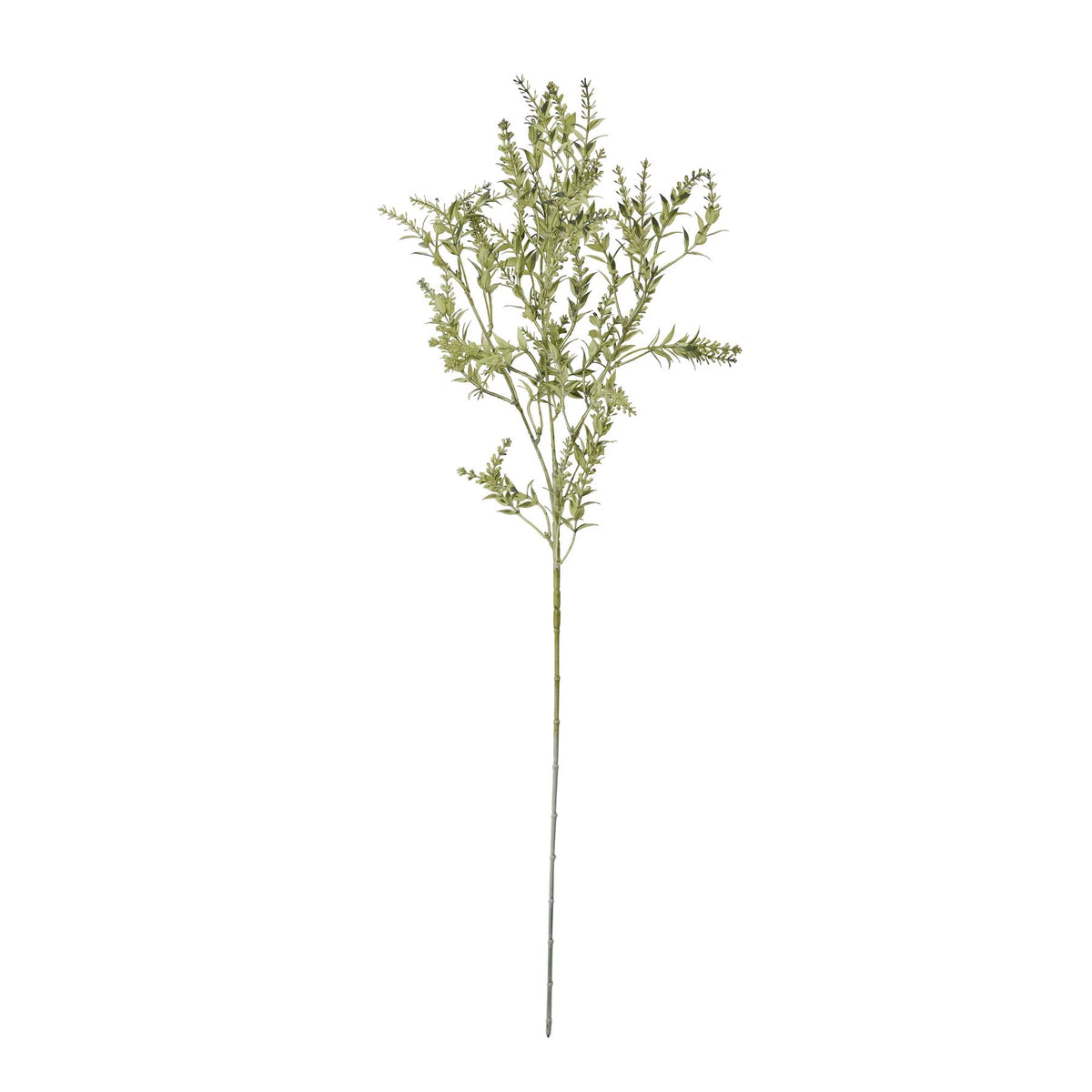 Broom Stem - GREEN