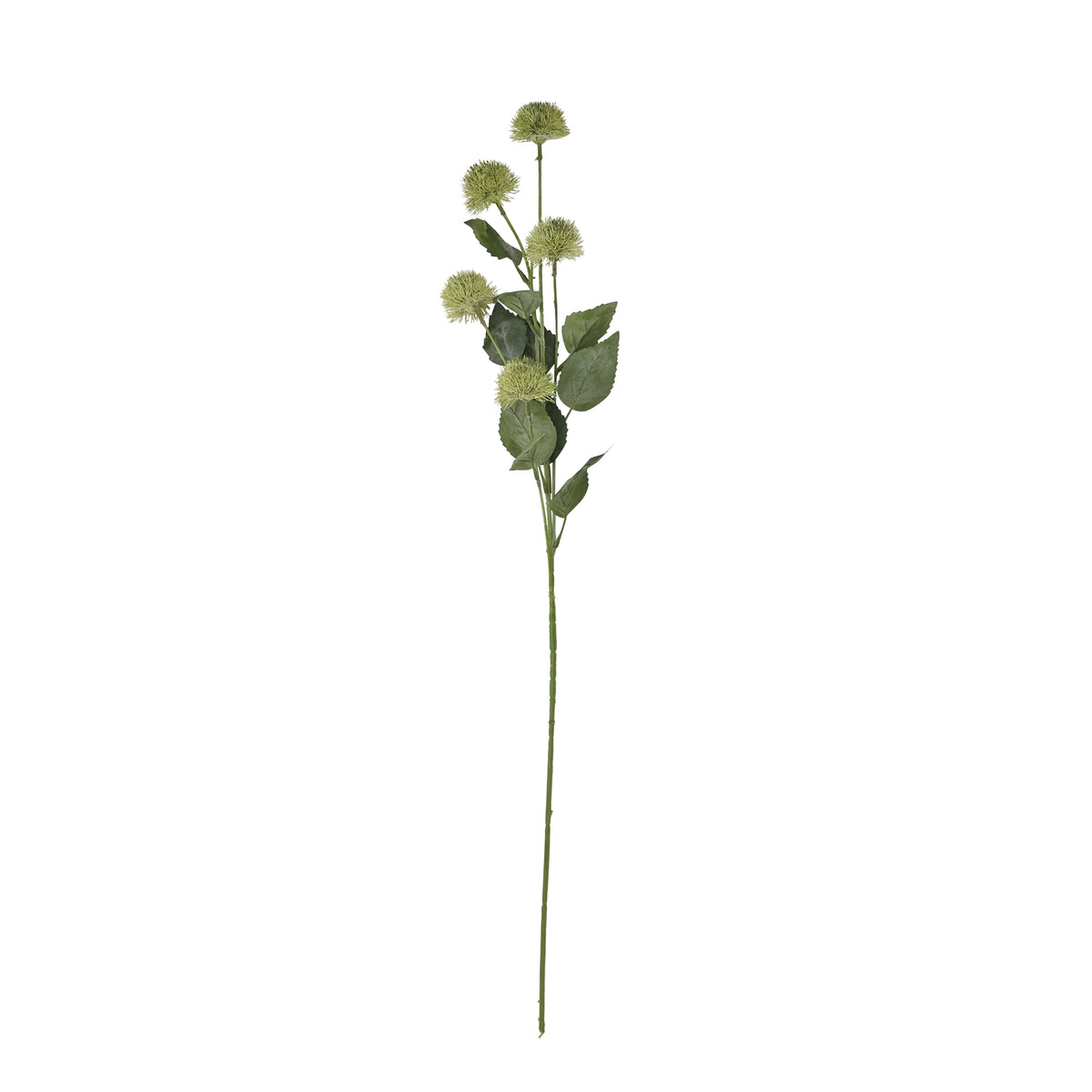 Thistle Globe Stem - GREEN
