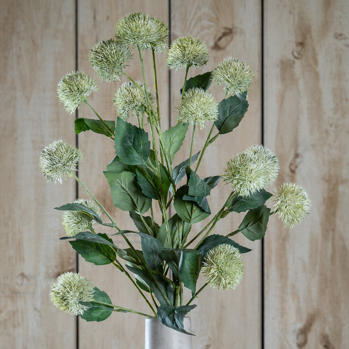 Thistle Globe Stem - GREEN