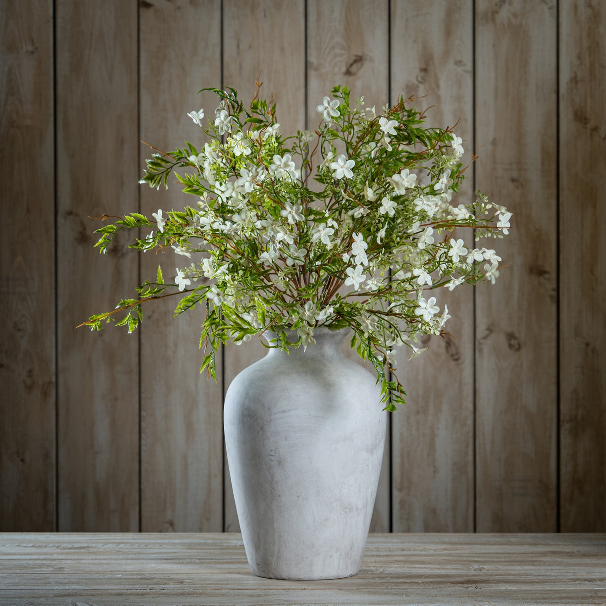Italian White Bellflower - GREEN