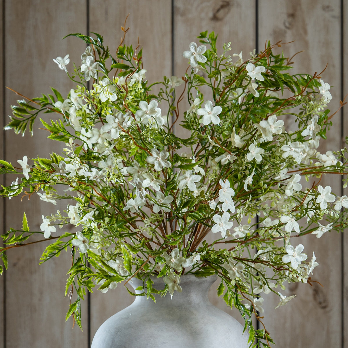 Italian White Bellflower - GREEN