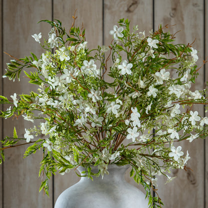 Italian White Bellflower - GREEN