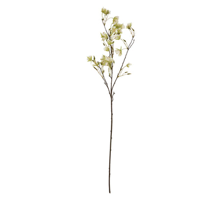 Elaeocarpus Stem - GREEN
