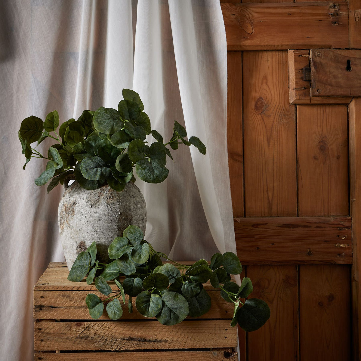 Short Eucalyptus Bunch - GREEN