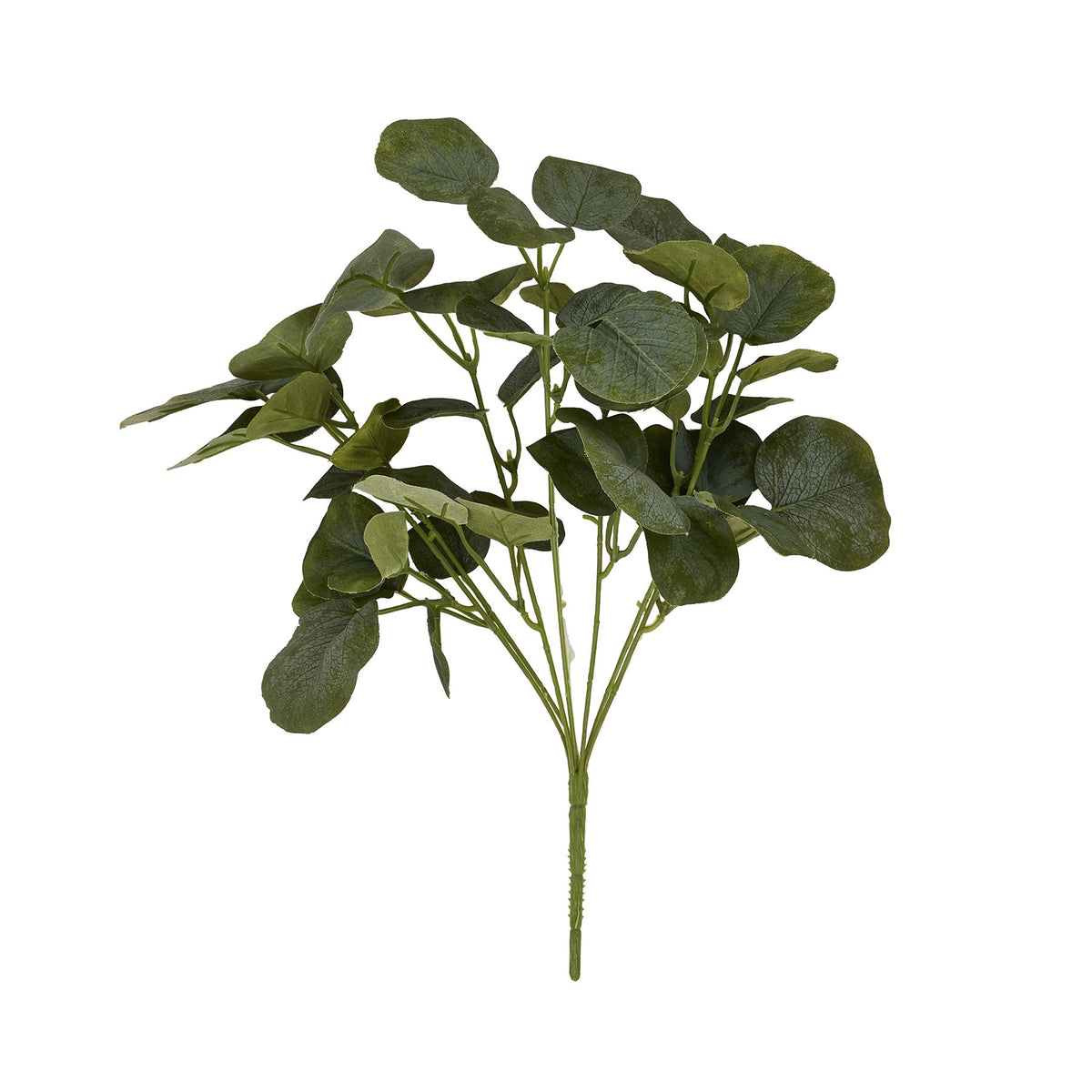 Short Eucalyptus Bunch - GREEN
