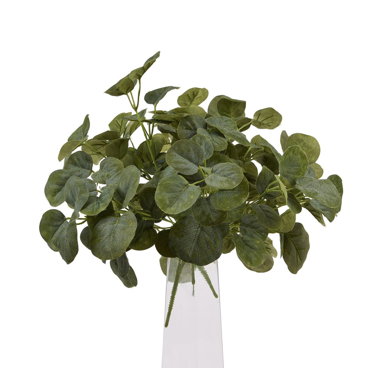 Short Eucalyptus Bunch - GREEN