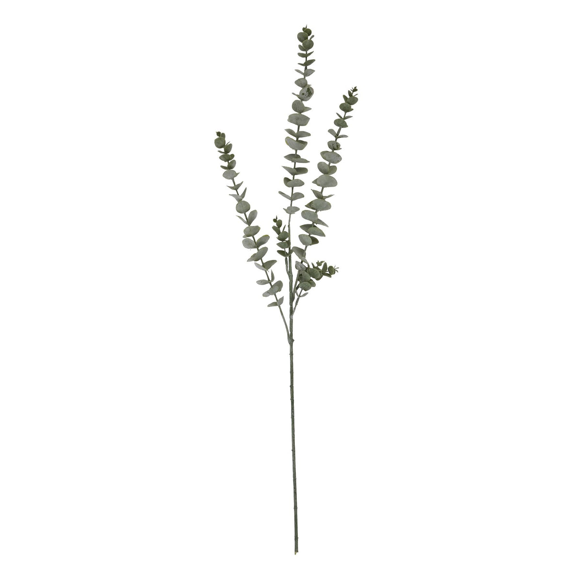 Gunnii Blue Eucalyptus Spray - GREEN