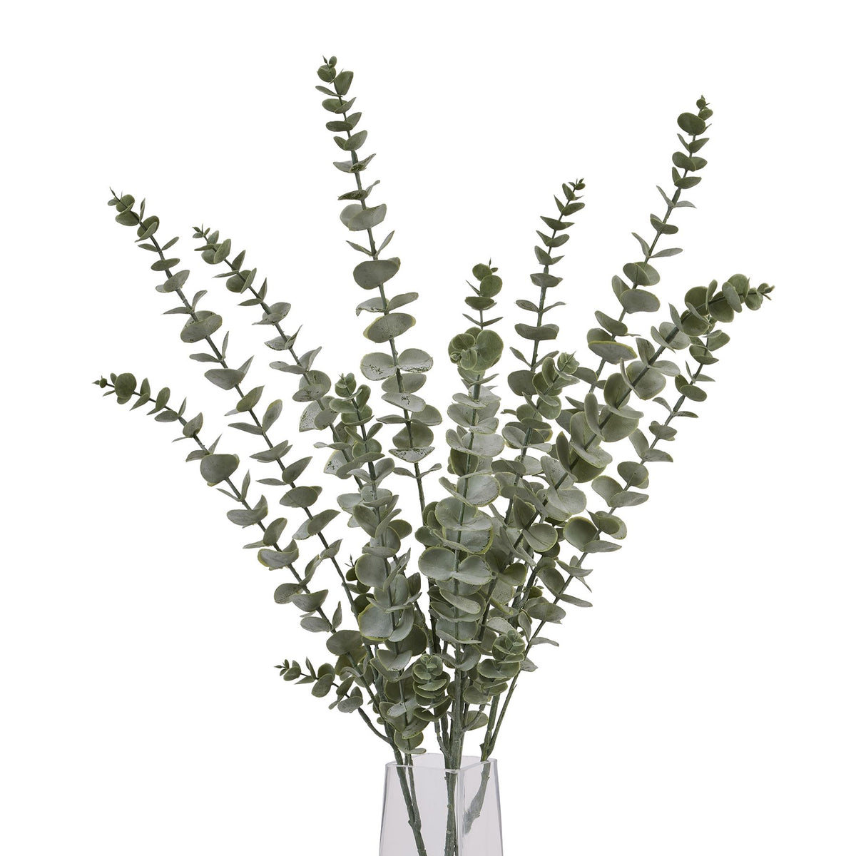 Gunnii Blue Eucalyptus Spray - GREEN