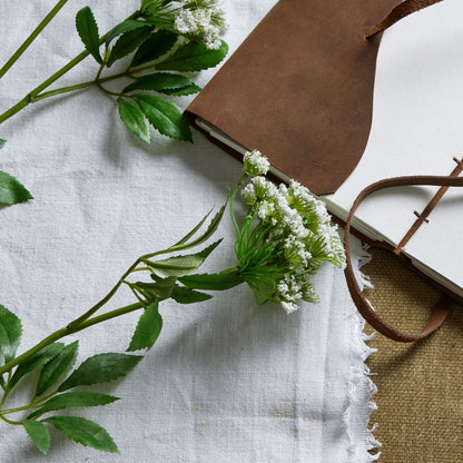 Faux White Cow Parsley Ammi - GREEN