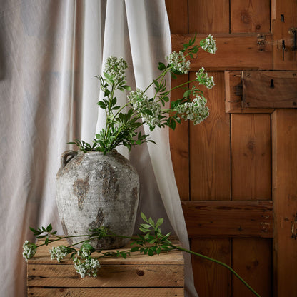 Faux White Cow Parsley Ammi - GREEN