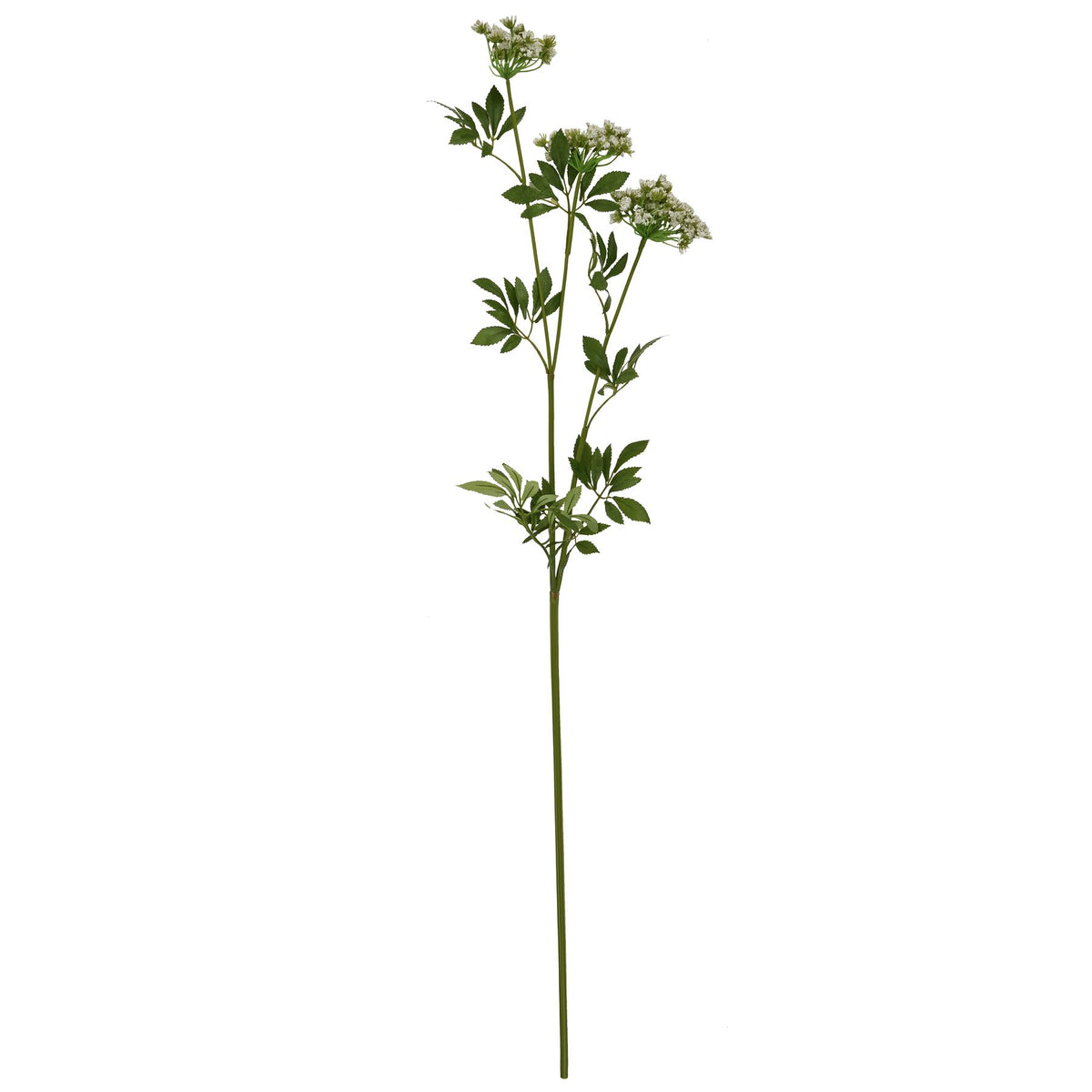 Faux White Cow Parsley Ammi - GREEN