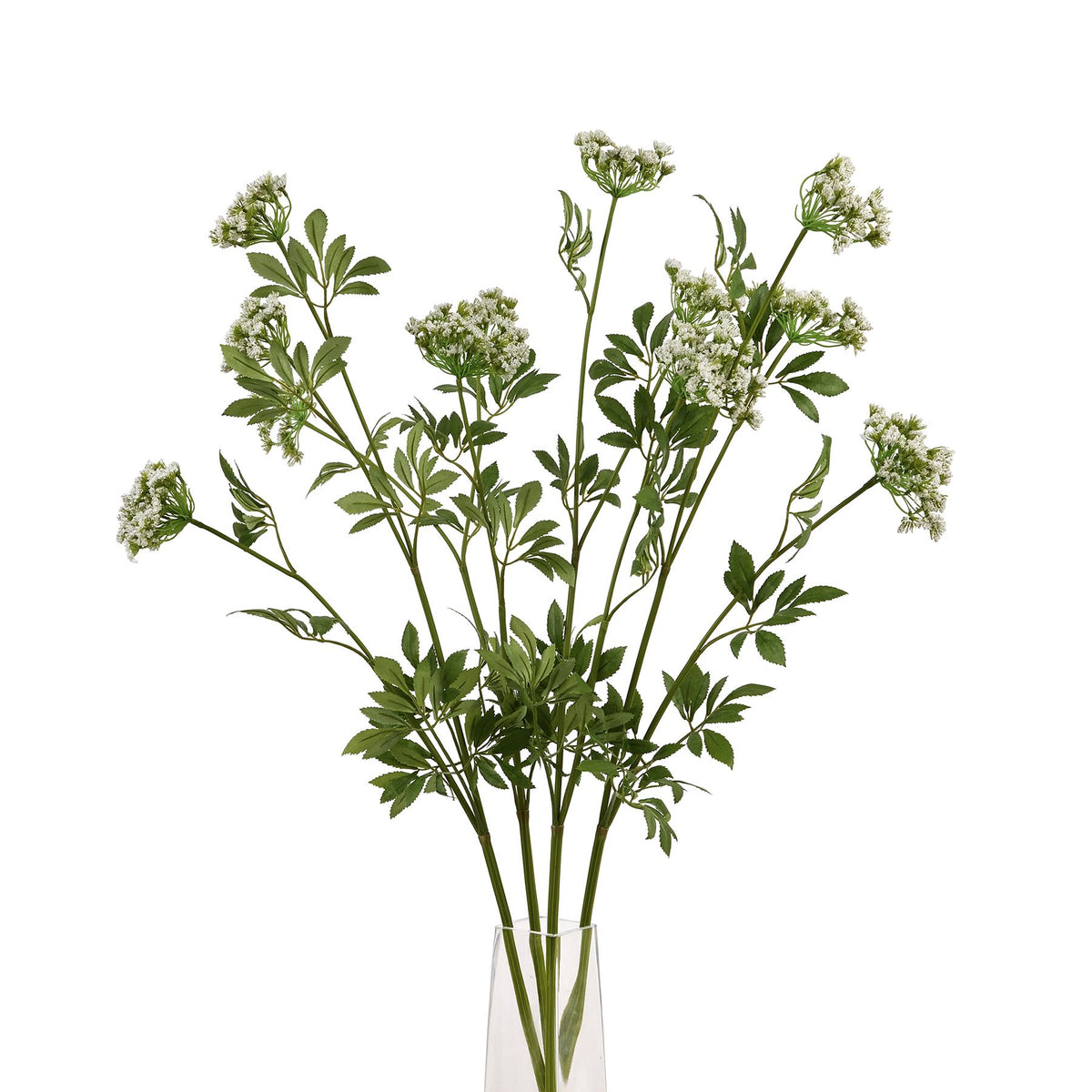 Faux White Cow Parsley Ammi - GREEN