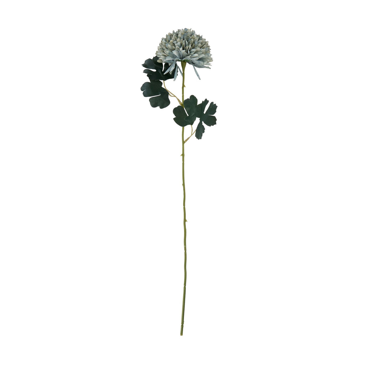 Pale Green Blue Chrysanthemum - PALE BLUE