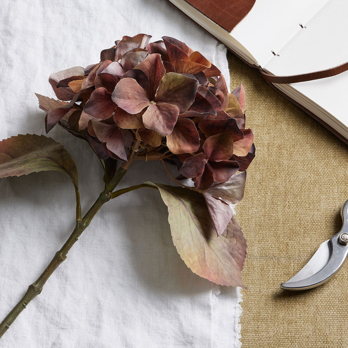 Mixed Autumn Browns Single Hydrangea Stem - BROWN