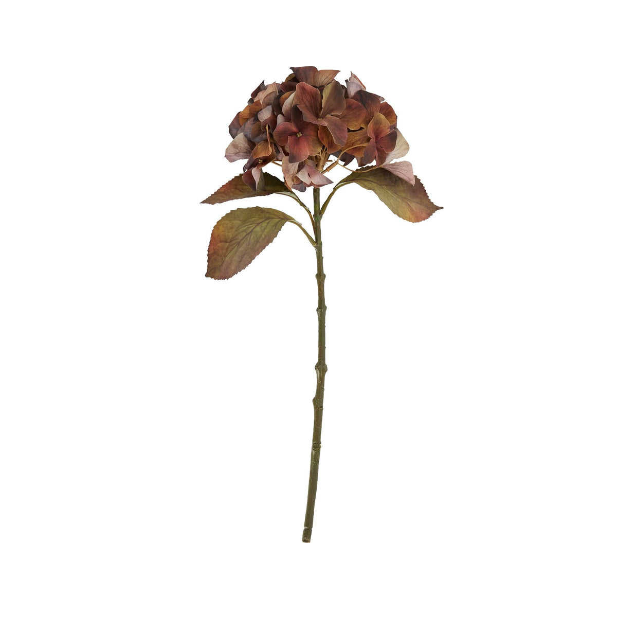 Mixed Autumn Browns Single Hydrangea Stem - BROWN