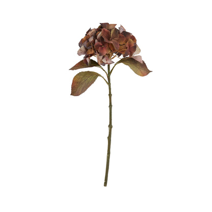 Mixed Autumn Browns Single Hydrangea Stem - BROWN