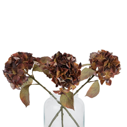 Mixed Autumn Browns Single Hydrangea Stem - BROWN