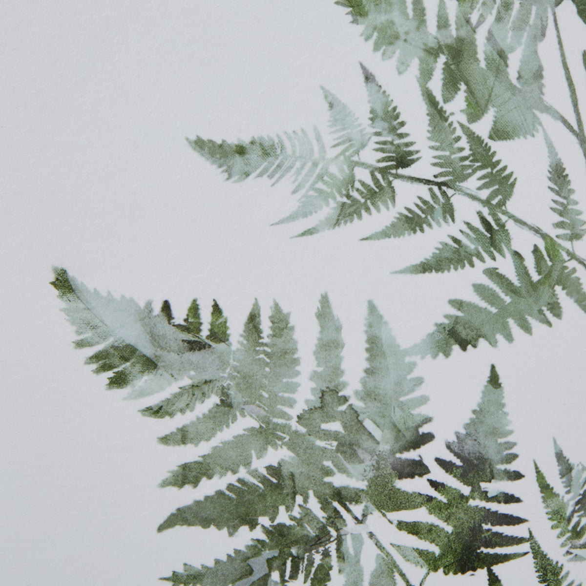Watercolour Bracken Fern In Washed Wood Frame - BROWN