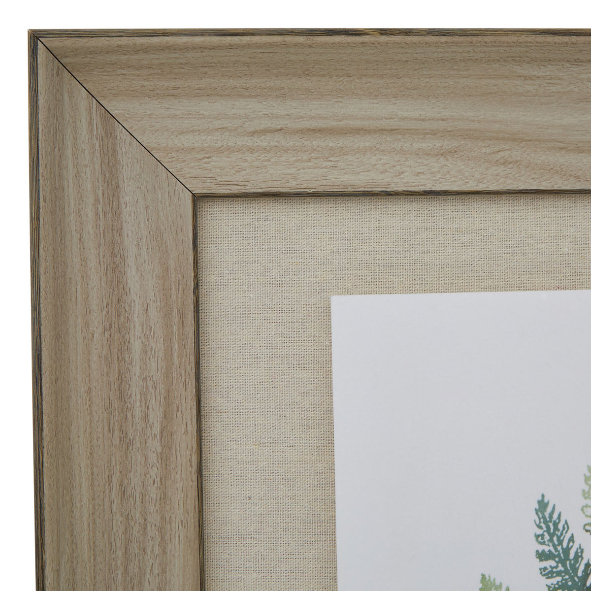 Watercolour Fern Duo In Washed Wood Frame - BROWN