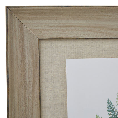 Watercolour Fern Duo In Washed Wood Frame - BROWN