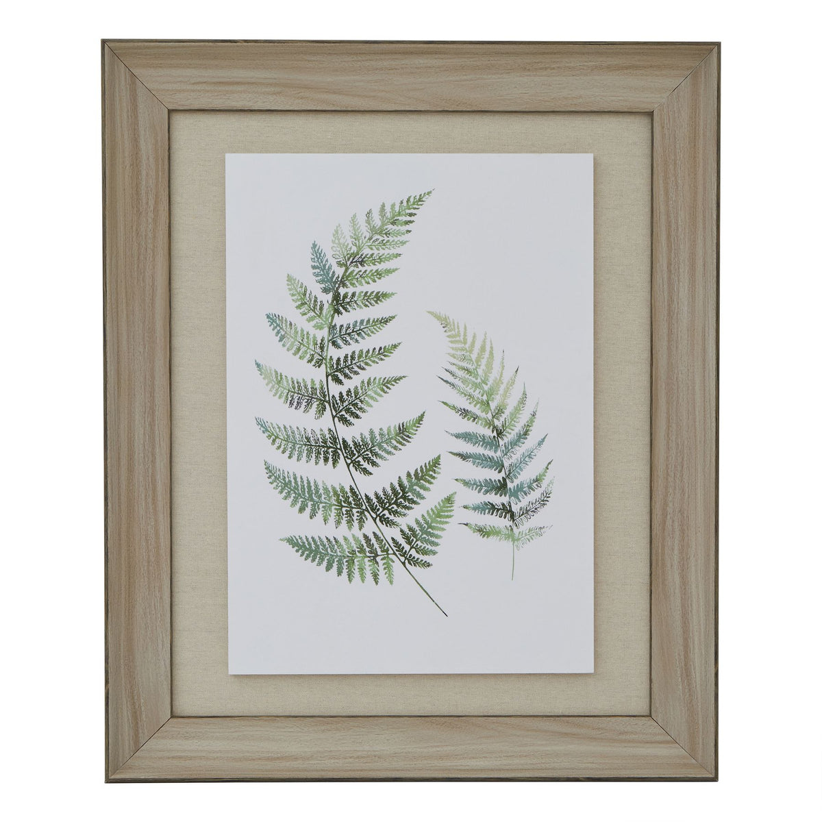 Watercolour Fern Duo In Washed Wood Frame - BROWN