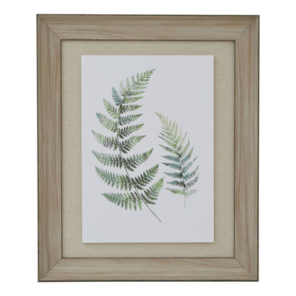 Watercolour Fern Duo In Washed Wood Frame - BROWN