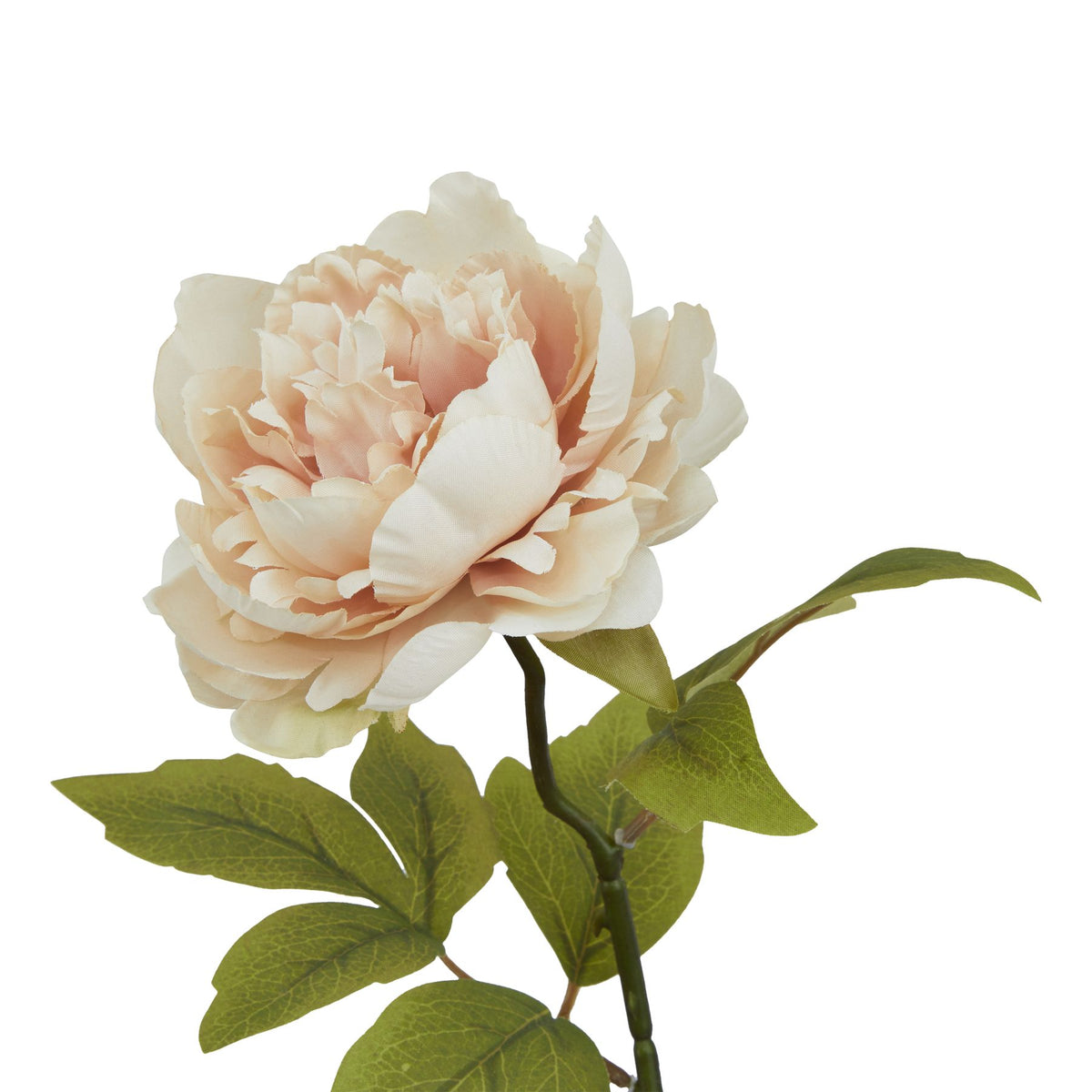The Natural Garden Collection Blush Peony - PINK