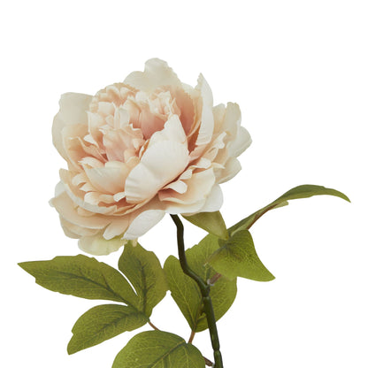 The Natural Garden Collection Blush Peony - PINK