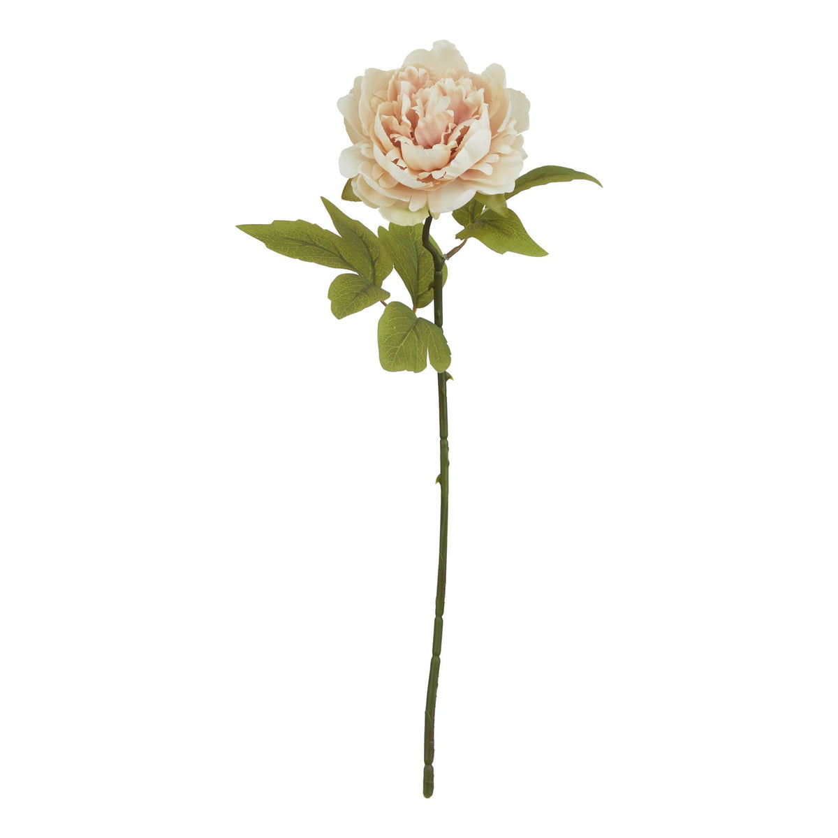 The Natural Garden Collection Blush Peony - PINK