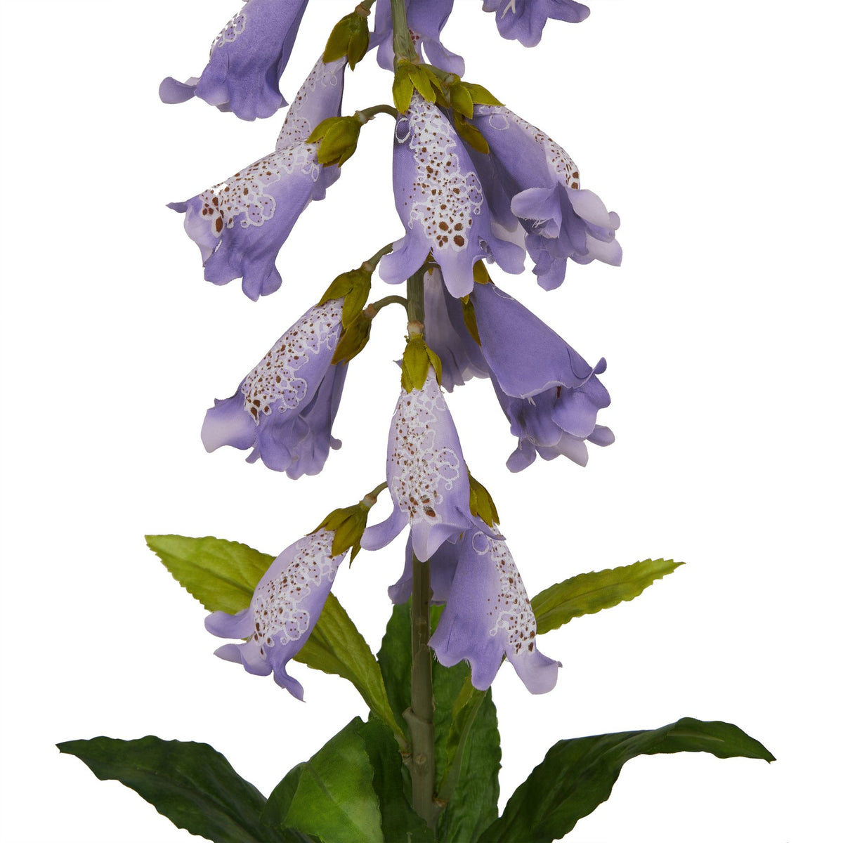 The Natural Garden Collection Mauve Foxglove - Lilac