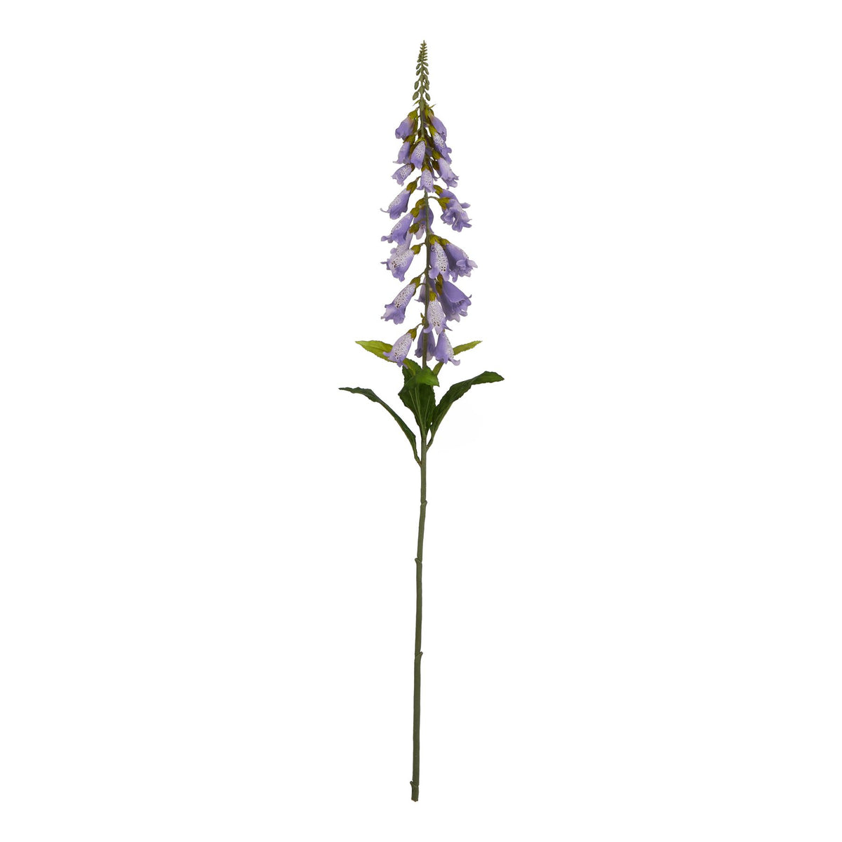 The Natural Garden Collection Mauve Foxglove - Lilac