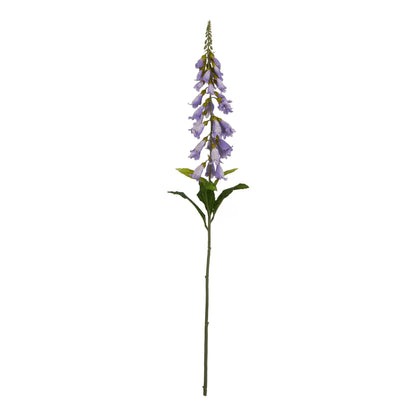 The Natural Garden Collection Mauve Foxglove - Lilac