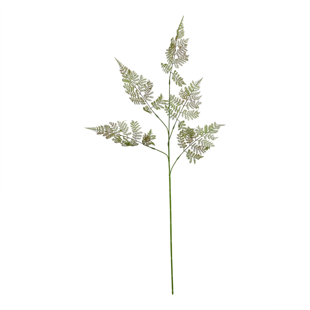 The Natural Garden Collection Large Bracken Fern Spray - GREEN
