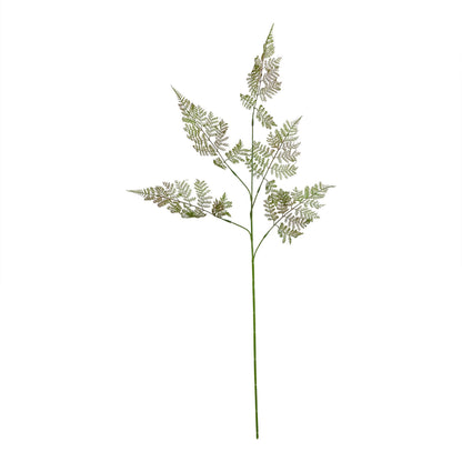 The Natural Garden Collection Large Bracken Fern Spray - GREEN