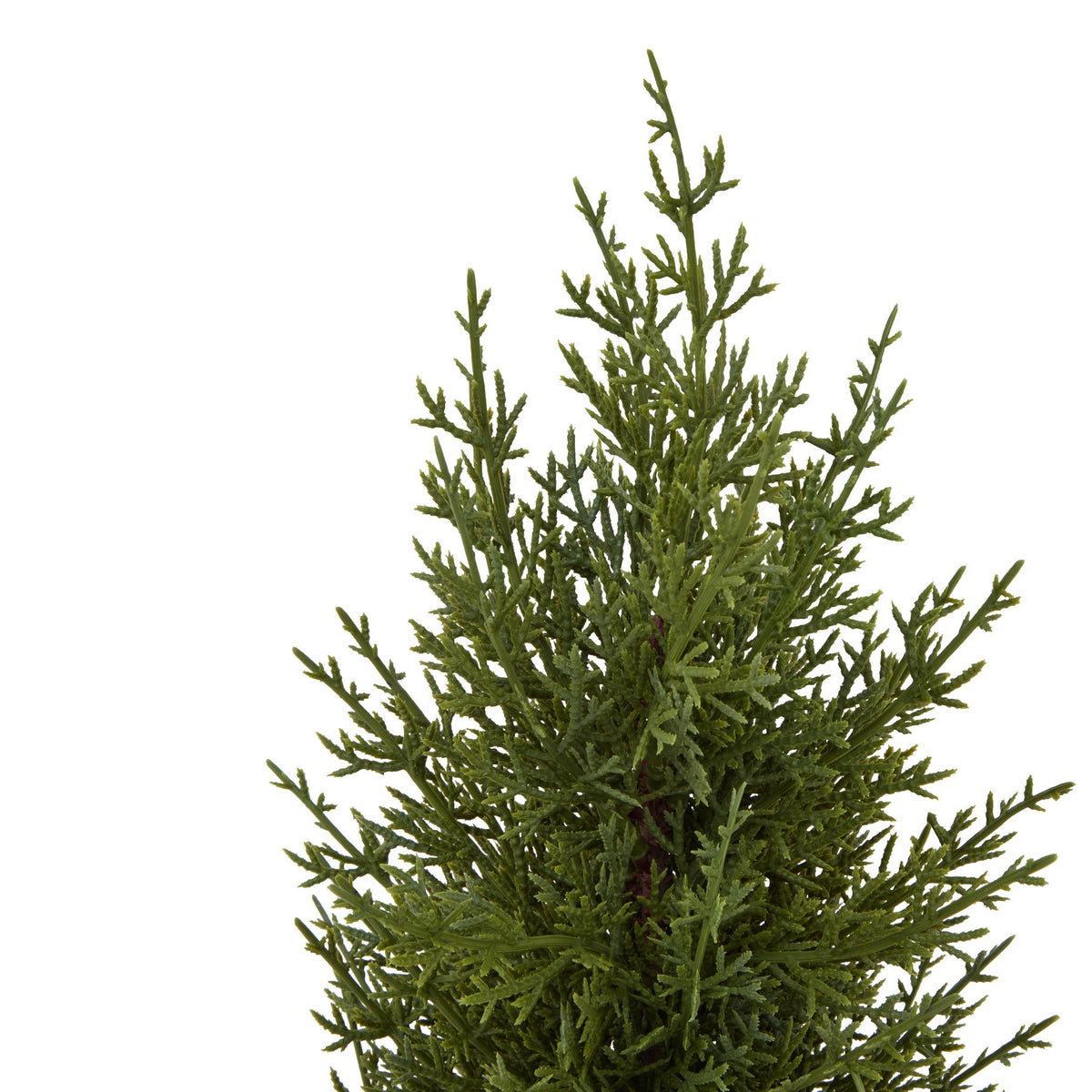 Small Green Fir Tree In Wood Log - BROWN