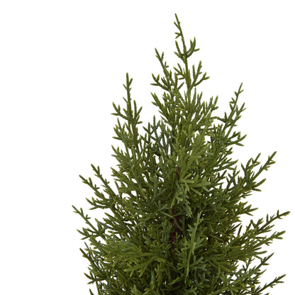 Small Green Fir Tree In Wood Log - BROWN