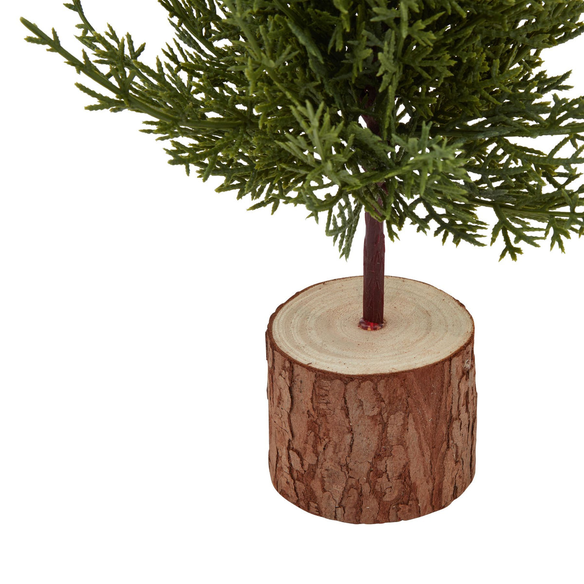 Small Green Fir Tree In Wood Log - BROWN