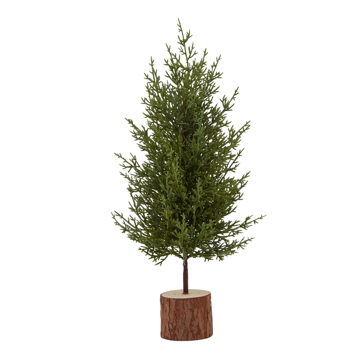 Small Green Fir Tree In Wood Log - BROWN