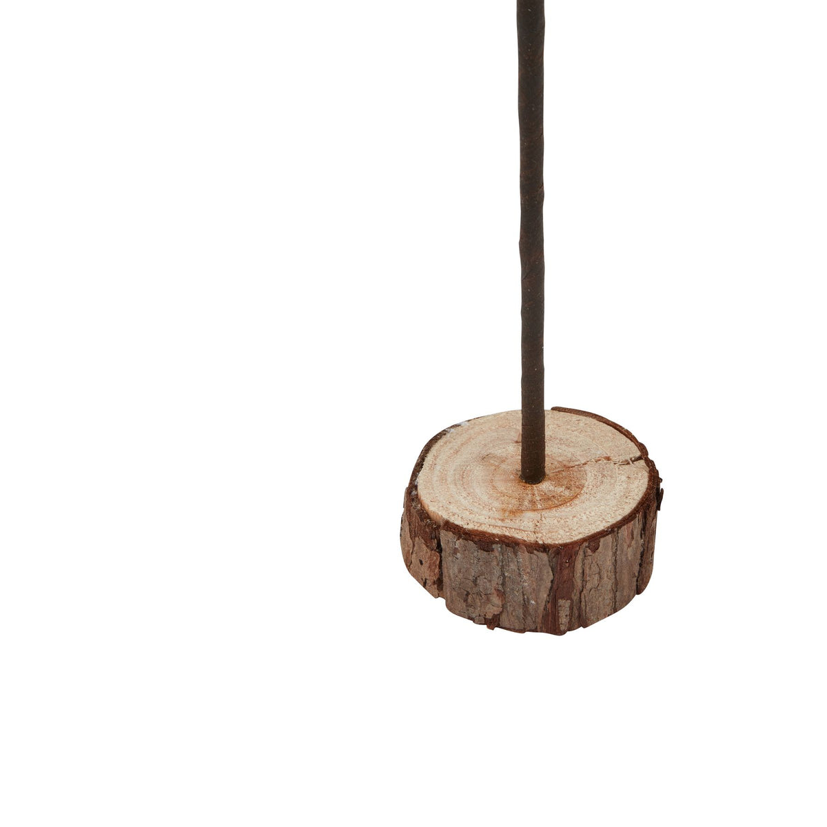 Large Snowy Spindle Tree In Wood Log - BROWN