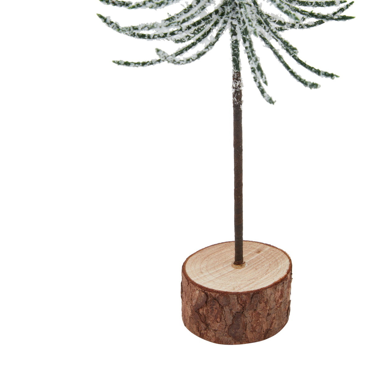 Small Snowy Spindle Tree In Wood Log - BROWN