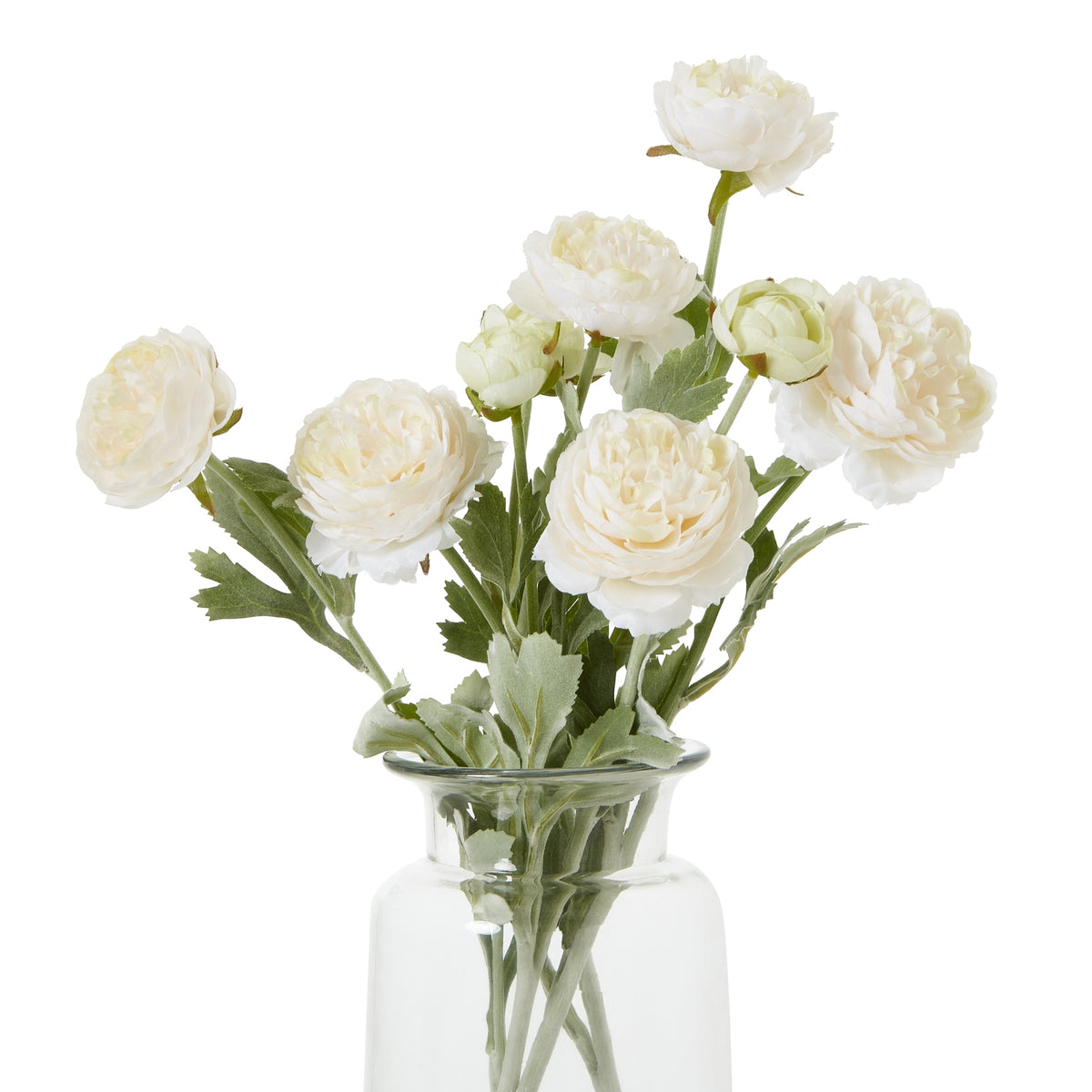 The Natural Garden Collection Apricot Ranunculus - PINK