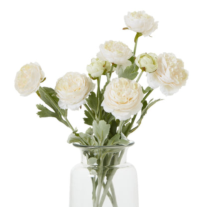 The Natural Garden Collection Apricot Ranunculus - PINK
