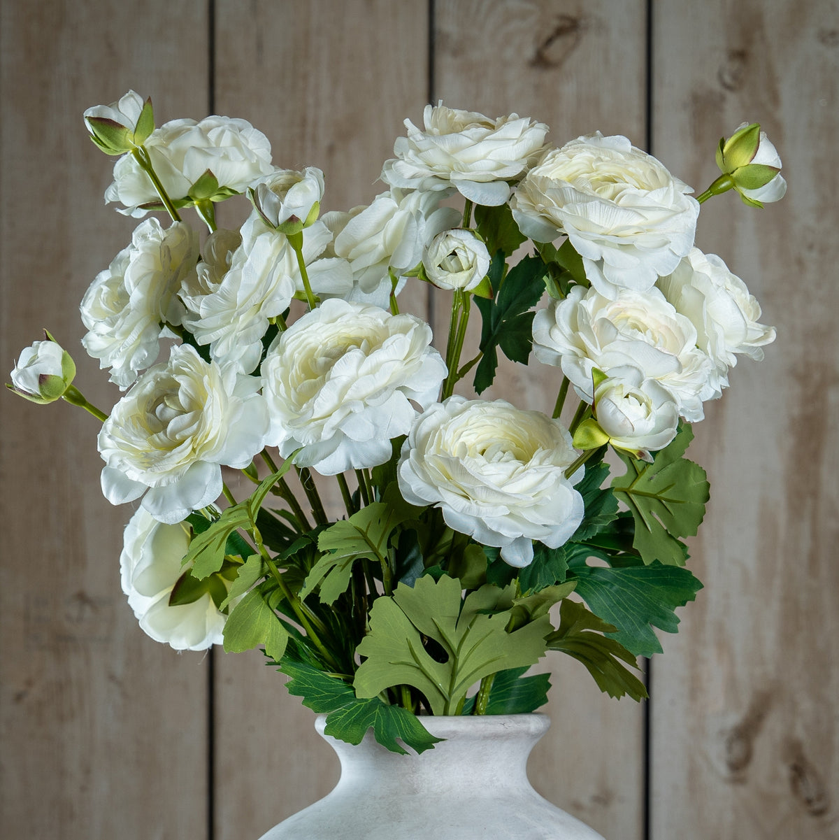The Natural Garden Collection Apricot Ranunculus - PINK