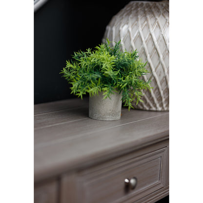 Small Bamboo Plant In Grey Pot - GREEN