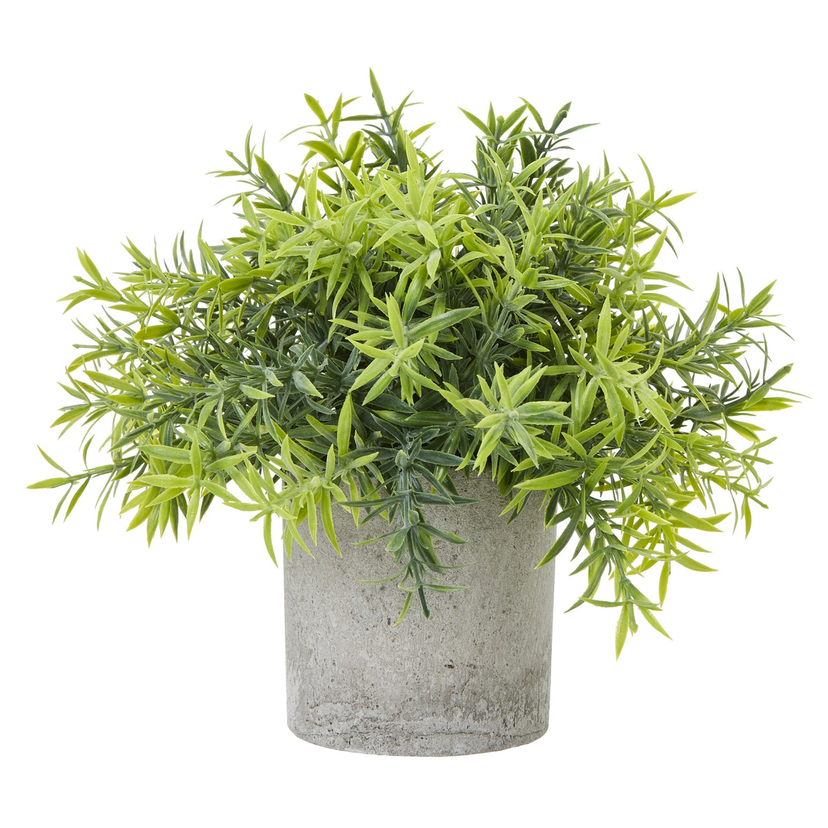 Small Bamboo Plant In Grey Pot - GREEN