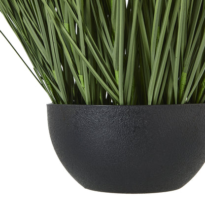Large Onion Grass Plant In Pot - GREEN