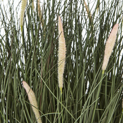 Large Fountain Grass Plant In Pot - GREEN