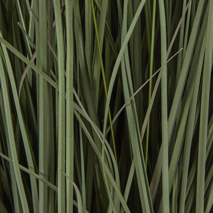 Large Fountain Grass Plant In Pot - GREEN